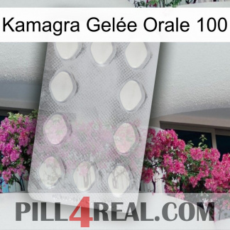 Kamagra Gelée Orale 100 16